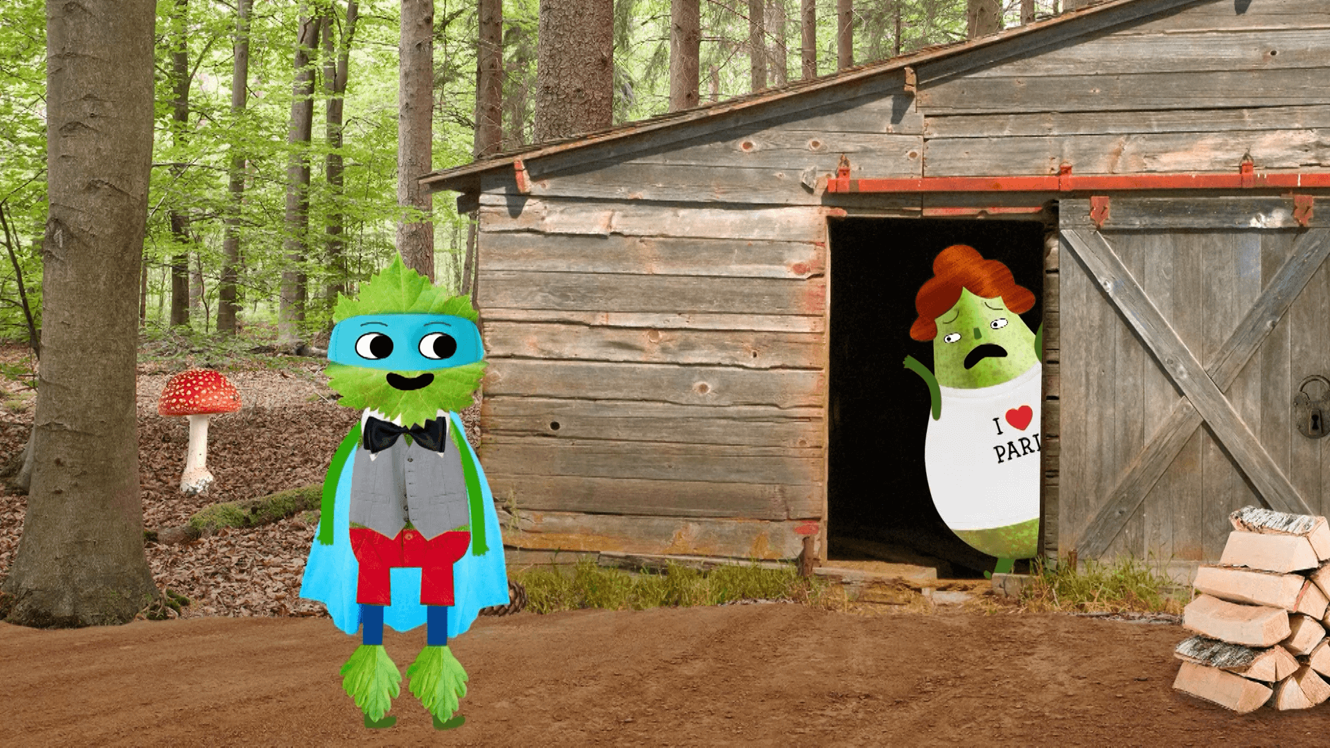 sprinter-bff-ekstra7